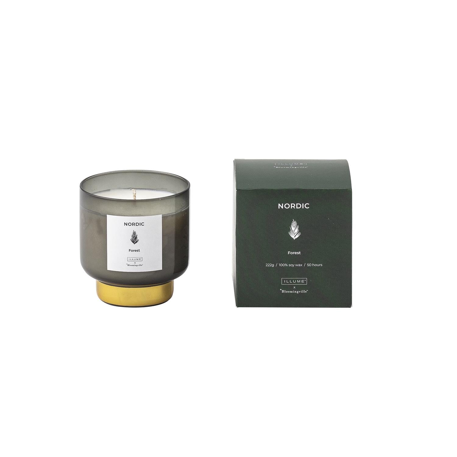 NORDIC FOREST SCENTED CANDLE SOY WAX