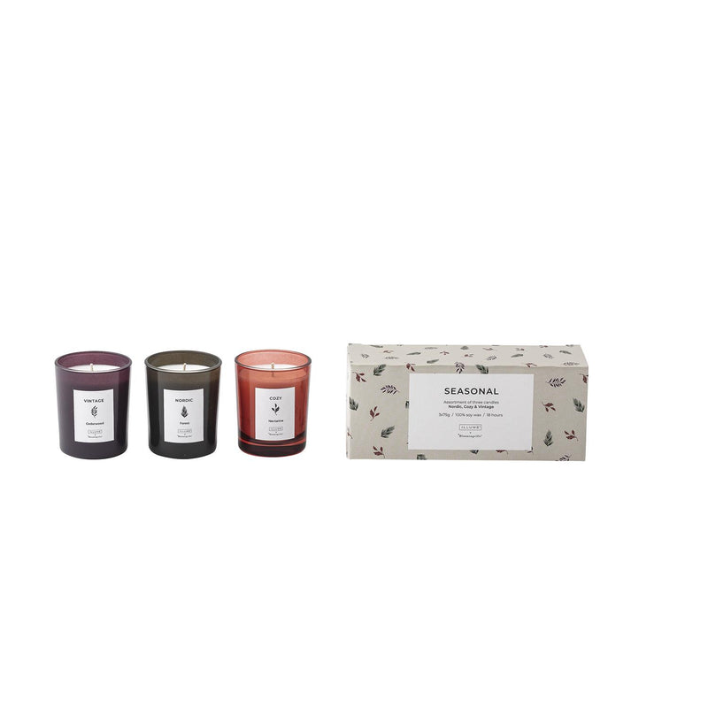 SEASONAL SCENTED CANDLE SOY WAX