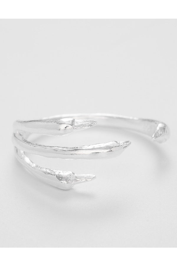 THE RAVEN RING SILVER
